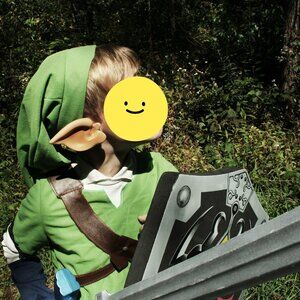 Disguise Nintendo Legend of Zelda Link Deluxe Child Costume Size M